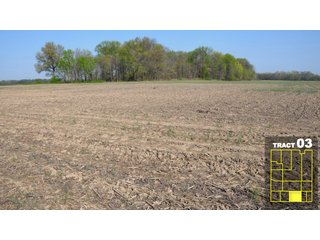 Property photo 18 - Land Auction 1035 Acres In 16 tracts - Farm Land - Sullivan Co. Indiana & Clark Co., Illinois
